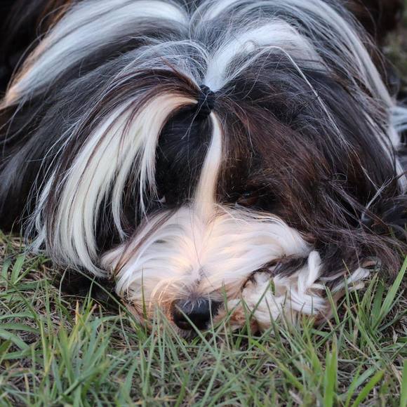 Meet your Posher, Debbie - Picture 1 of 1